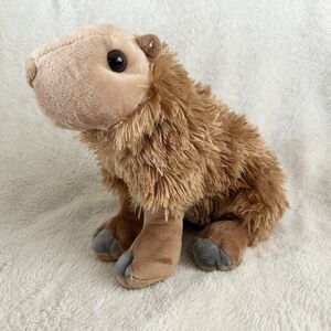Wild Republic Cuddlekins Capybara Realistic Brown Rodent Plush Stuffed Toy Zoo